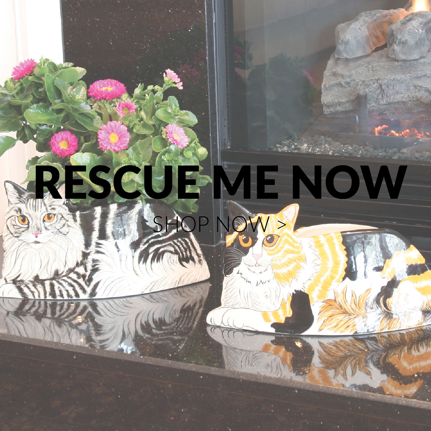 Rescue Me Now by Nina Lyman